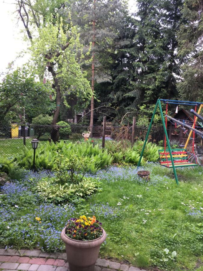 Apartament Tresor Barska *